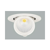 LED mélysugárzó lámpatest álmennyezetbe forgatható/billenthető süllyesztett 1x Micro Zebra AVOLUX