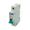 Kismegszakító 1P 1A C-jelleg 230V AC 6kA/60898 TDS TRACON