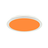 LED mennyezeti lámpatest kerek 3CCT DIM +RGB távirányítóval díszes-perem falonkívüli 1x 30W 170-250V AC 1700lm 2700-6000K IP20 Modee