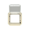 Plexo55 Program Mosaic adapter elefántcsont füstszínű csapófedéllel SQ70/SQ70 LEGRAND