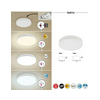 LED kültéri mennyezeti lámpatest kerek 3CCT falonkívüli 1x 18W 230V AC 1800lm 2800-6000K IP44 20000h Tartu RÁBALUX