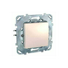 Unica vakfedél vakfedél krém üres-jel IP40 műanyag Schneider