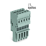 8p anyacsatlakozó 8P 32A 500V termoplaszt 0.08-4mm2/sokerű 0.08-4mm2/tömör szürke WAGO