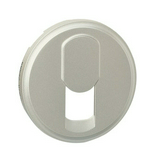 Céliane fedlap RJ11 telefoncsatlakozóhoz műanyag titán címketartó nélkül LEGRAND