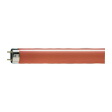 Fénycső 0,6m piros általános-hez T8 G13 18W 25lm 150 15000h piros MASTER TL-D 18W/ 15 Philips