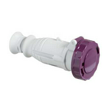 Ipari dugalj lengő 2P 32A 20-25V(50+60Hz) ibolya egyenes IP67 műanyag csavaros PratiKa Schneider