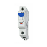 Kismegszakító 1P 40A D-jelleg 230V AC 10kA/60898 15kA/60947 1M BMS0 Schrack