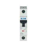 Kismegszakító 1P 8A C-jelleg 230V AC 10kA/60898 15kA/60947 1M FAZ-C8/1 EATON