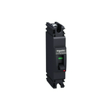 Kompakt megszakító energiaelosztás 1P1D fix 100A 0-60A-hő 2.5kA EasyPact EZC100N TMD Schneider