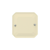 Plexo55 vakfedél elefántcsont IP55 műanyag matt csavaros LEGRAND