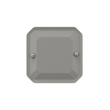Plexo55 vakfedél szürke IP55 műanyag matt csavaros LEGRAND