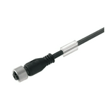 Szerelt érzékelőkábel 4P szabad érvég 5m M12 4A 250V SAIL-M12BG-4-5.0U Weidmüller