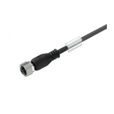 Szerelt érzékelőkábel 5P szabad érvég 3m-kábel M12 4A 125V SAIL-M12BG-5-3.0U Weidmüller