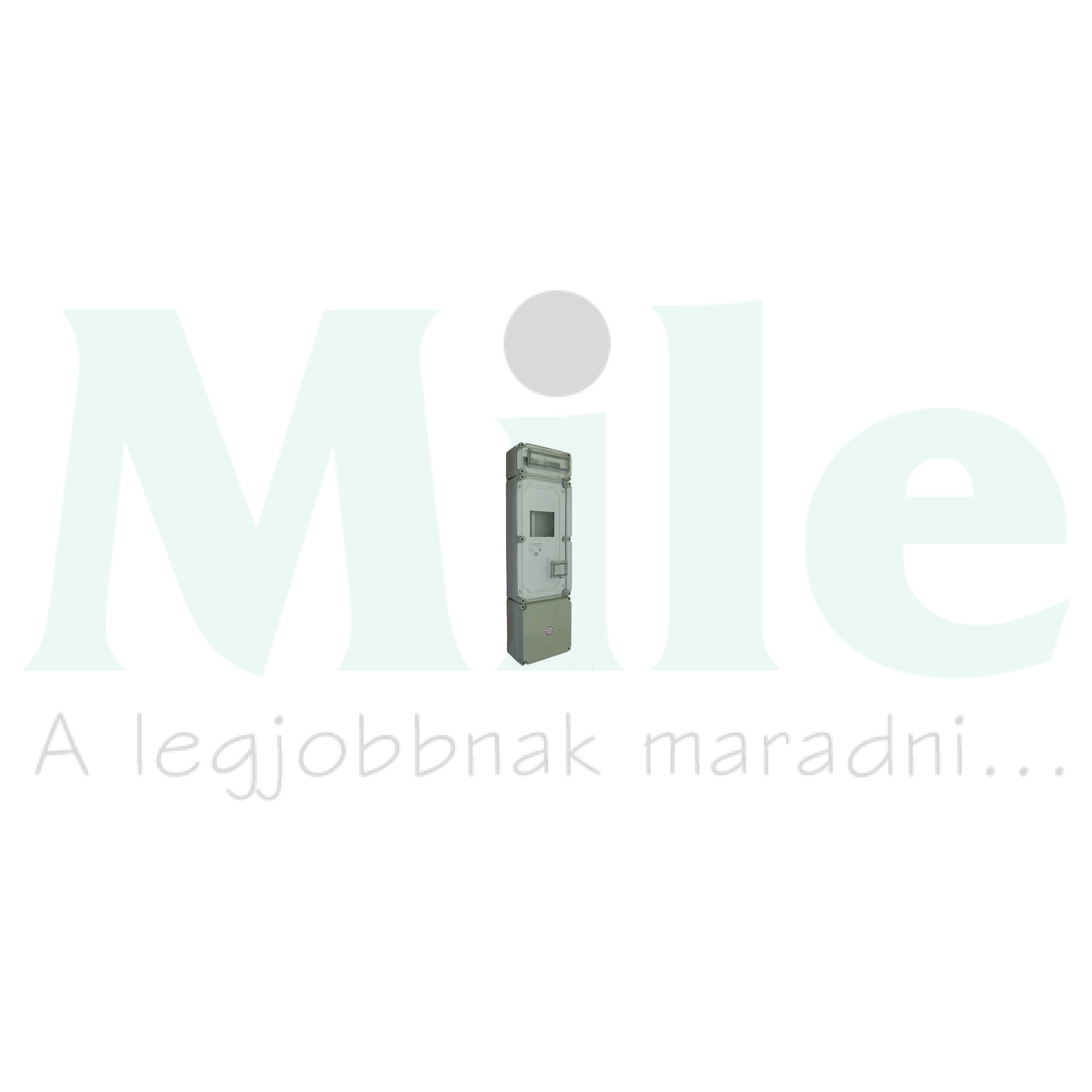 1/3F mérőszekrény +kábelfogadó+kismegszakítók 1-szintes PVT 3060 FO 3030 - F 12 ÁK Csatári Plast