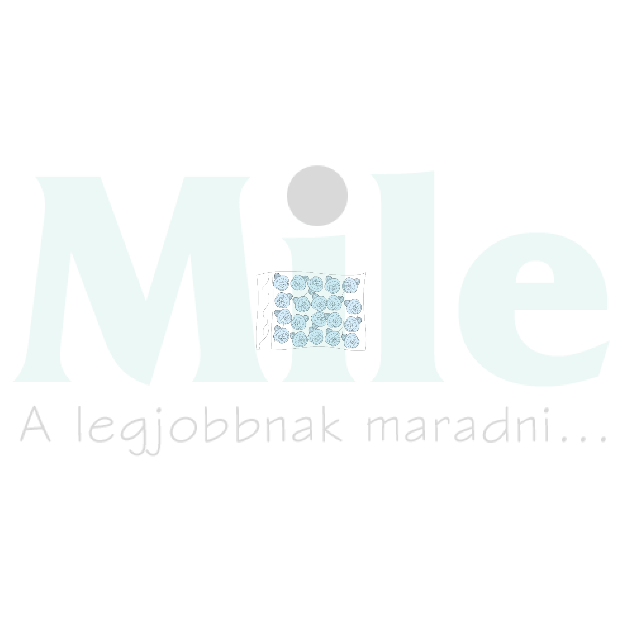 Önmetsző csavar M5 (20db) fém szürke Prisma G/P Schneider