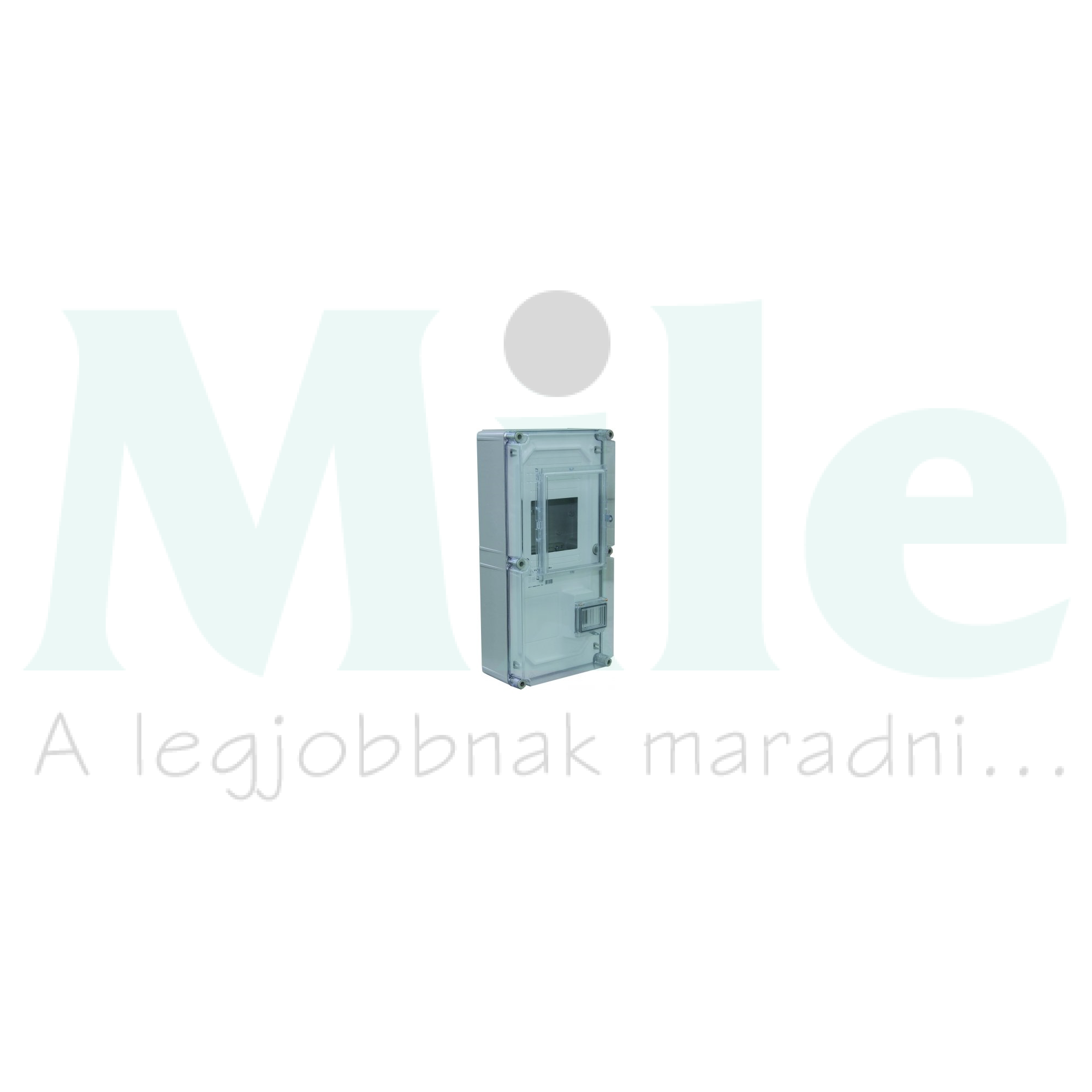 3F mérőszekrény elektronikus 1-szintes 1-mérőhely PVT 3060 EM - Fm Csatári Plast