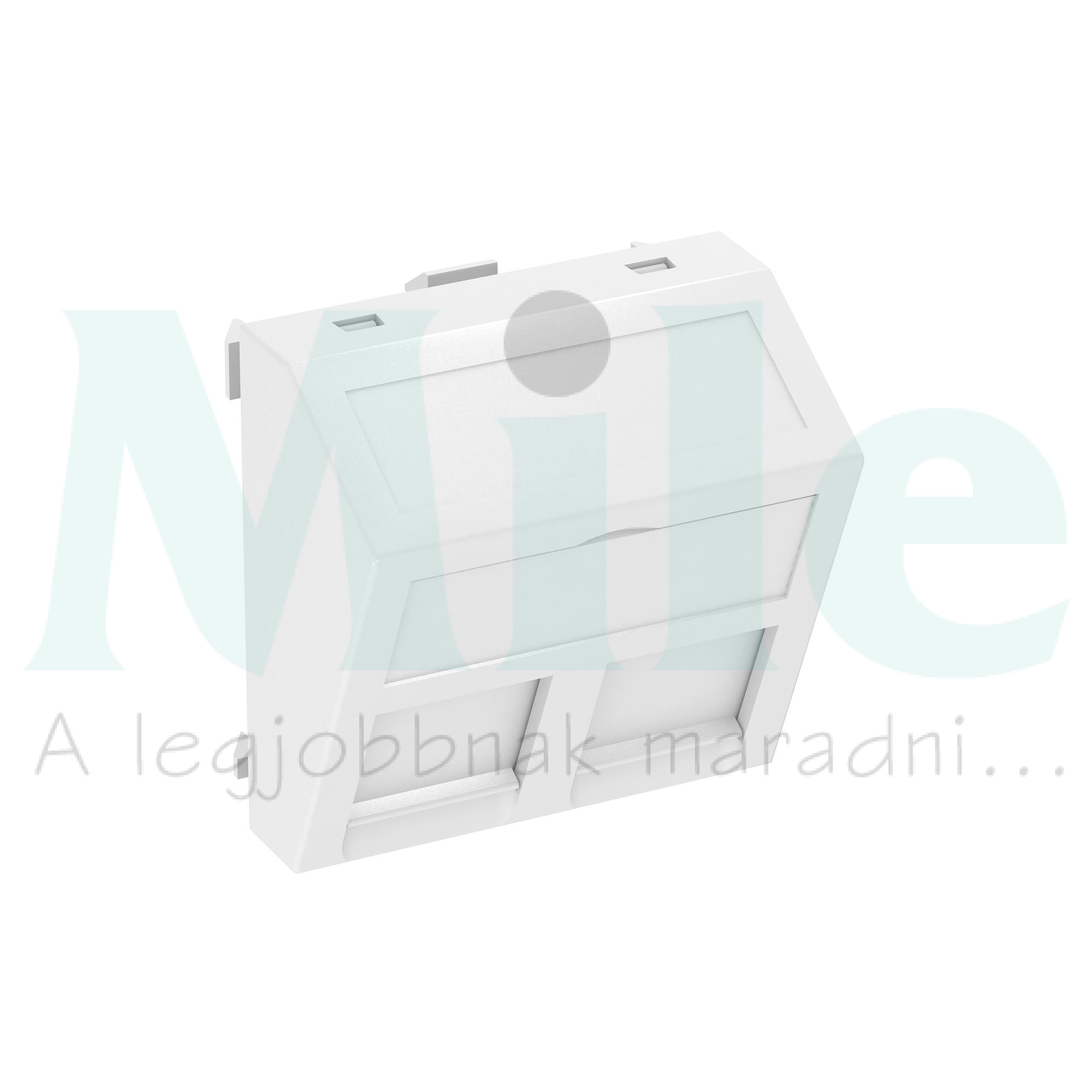 Adapterkeret közp. fedéllel 2xRJ45 adatcsatlakozóhoz műanyag fehér DTS-2B RW1 OBO-BETTERMANN