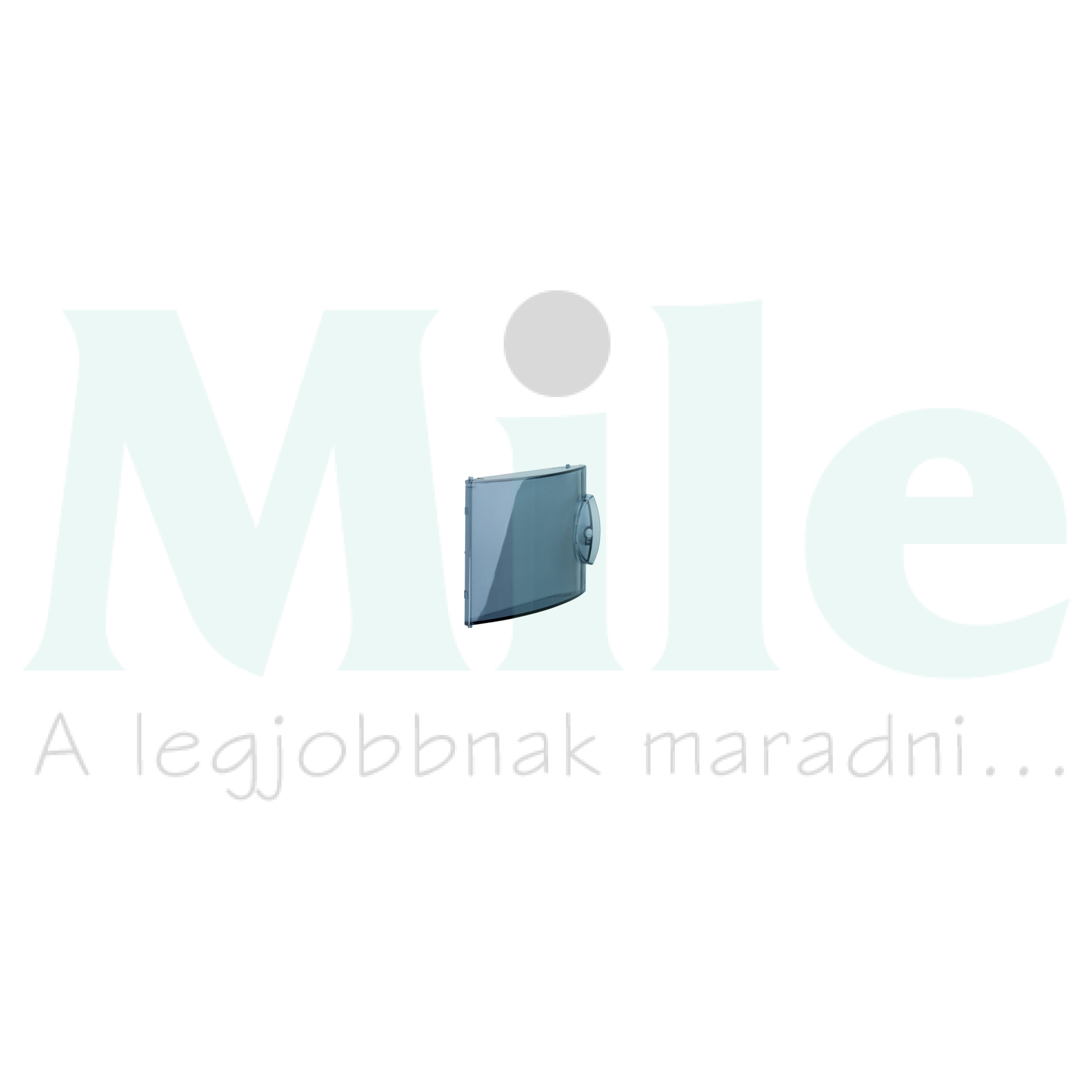 Ajtó átlátszó műanyag IP40 Gamma Hager