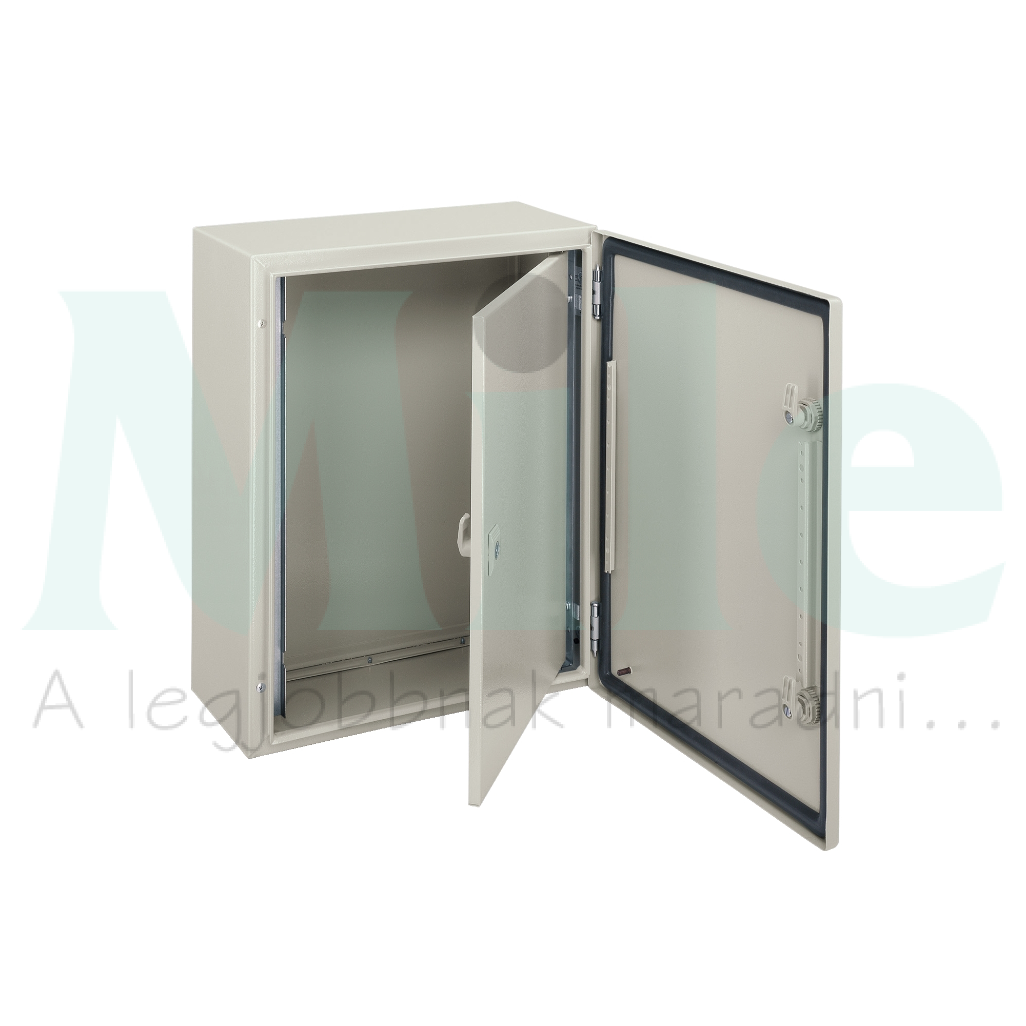 Ajtó belső teli porszórt acél szürke IP66 800mm-sz 1200mm-ma Spacial CRN Schneider