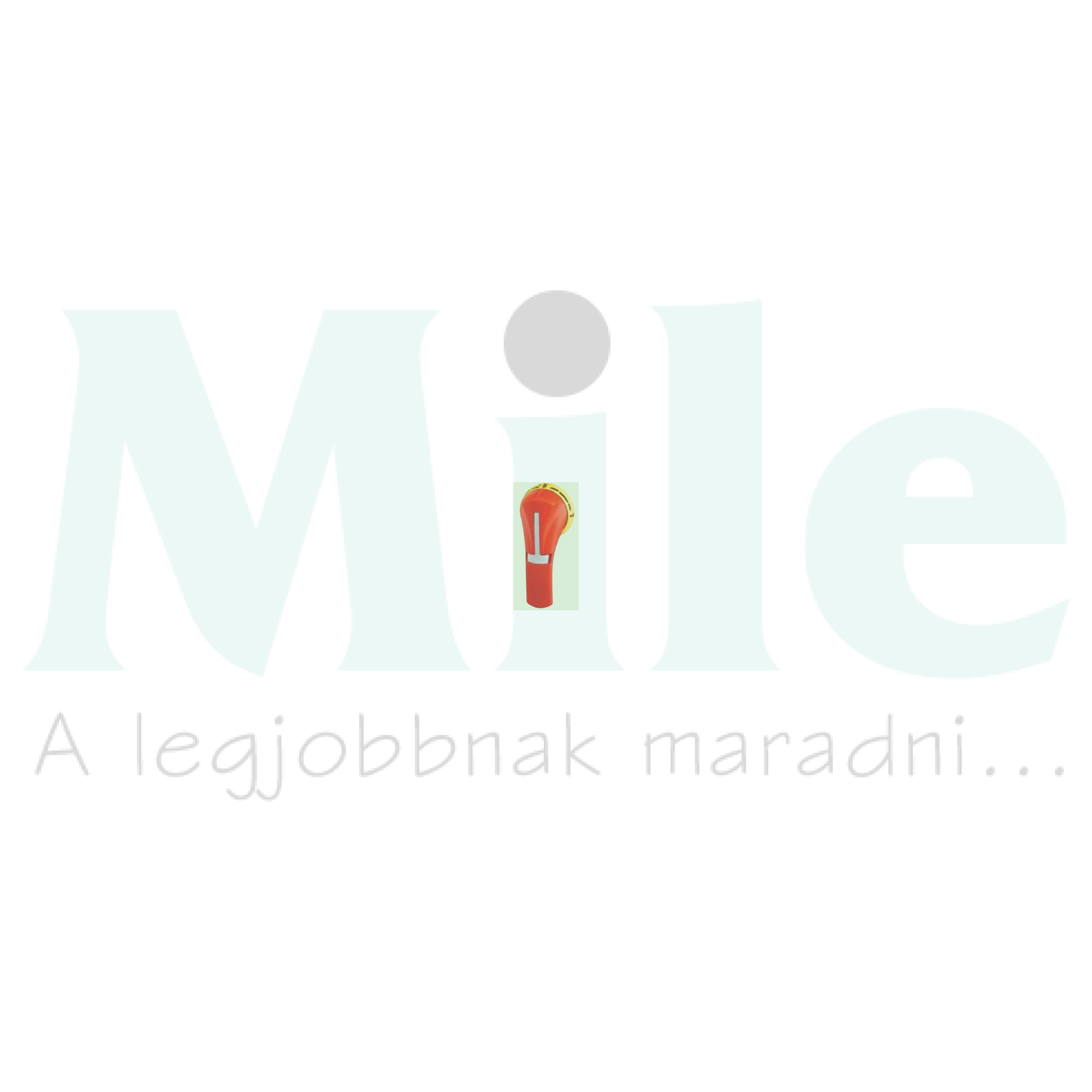 Ajtókuplung forgató hajtás 125…630-hoz zárható Sirco SOCOMEC