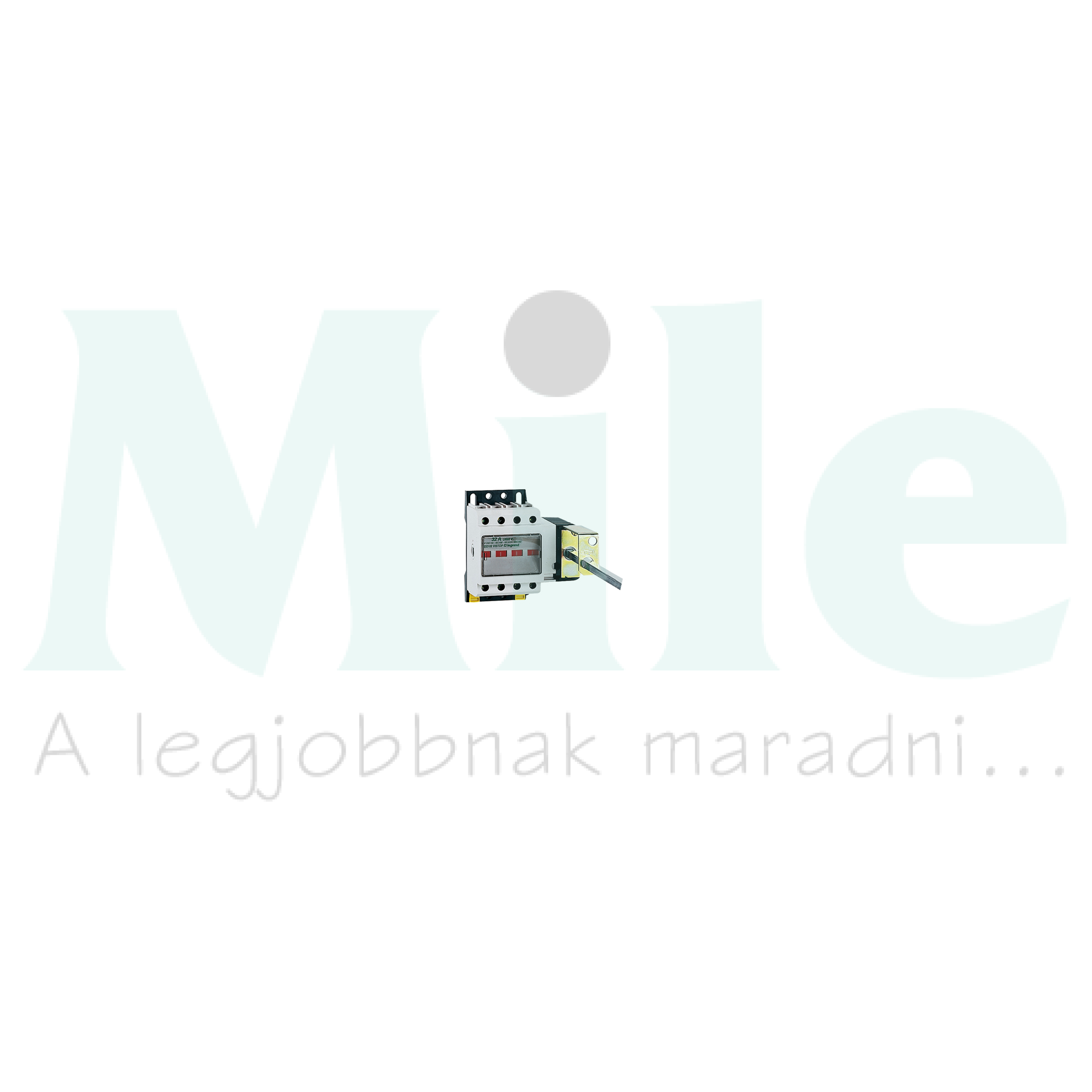 Ajtókuplung forgató hajtás Vistop 32A Vistop LEGRAND