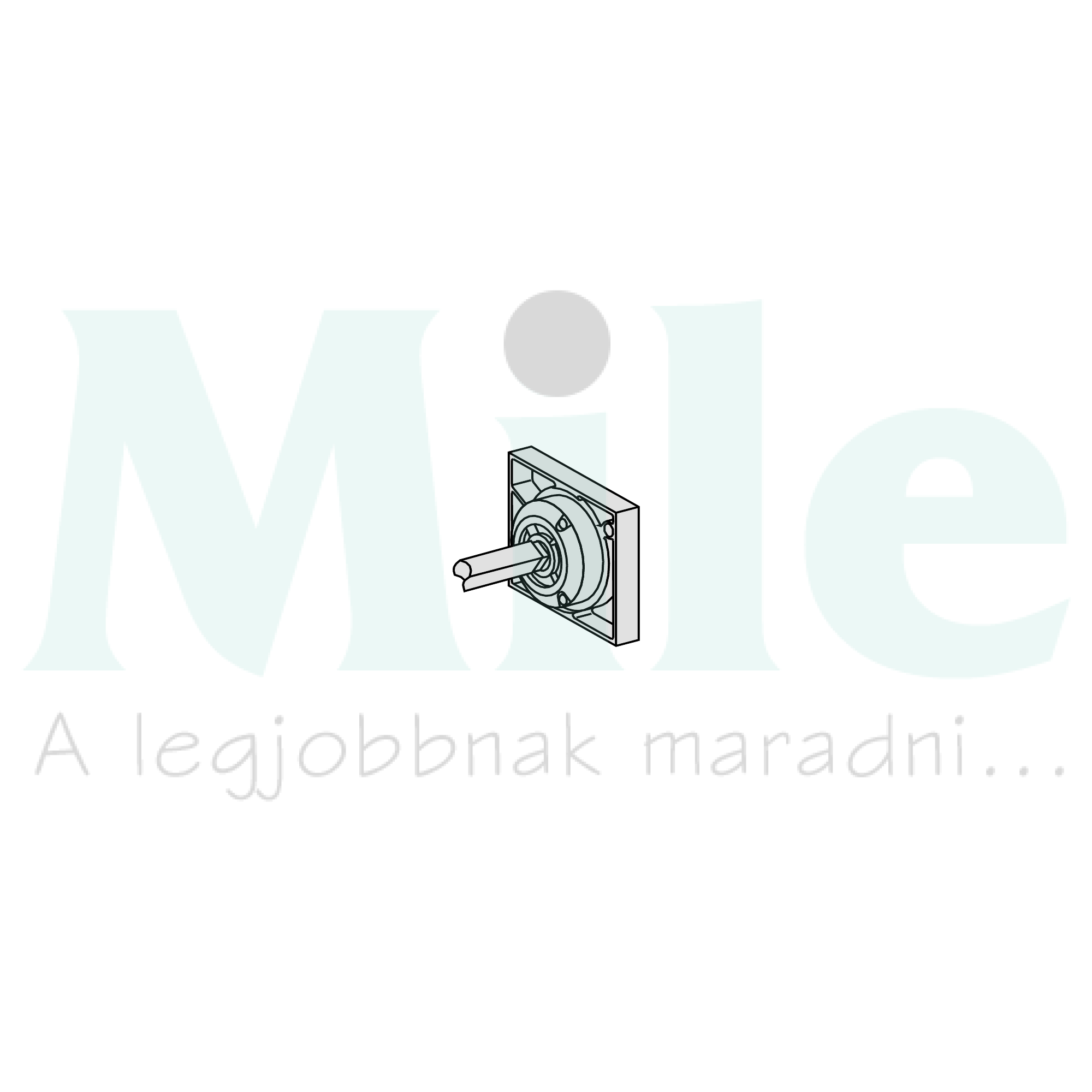 Ajtókuplung forgató hajtás INS250/INV100...250-hez INS/INV100-630 Schneider