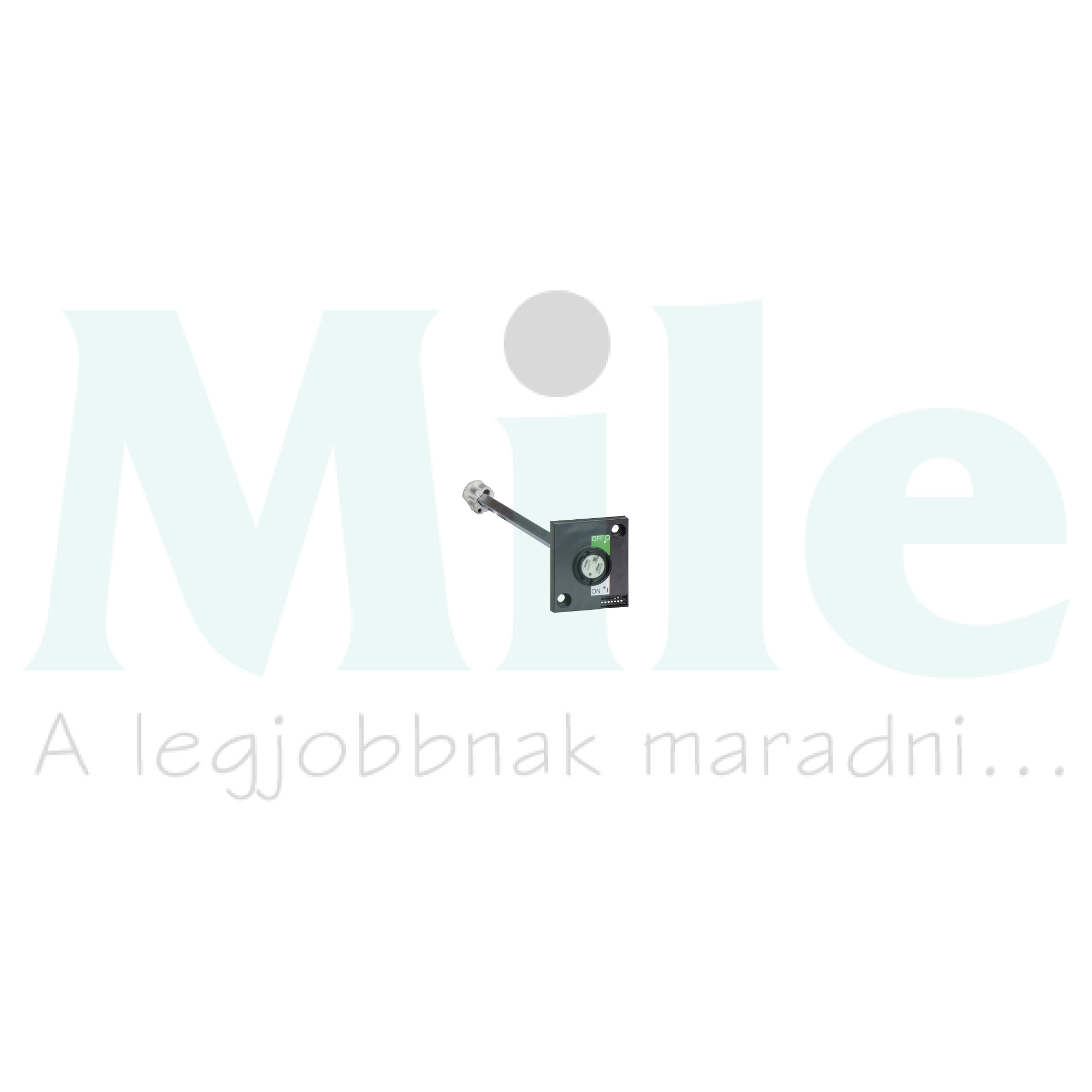 Ajtókuplung forgató hajtás INS40-160-hoz tengellyel INS40-160 Schneider