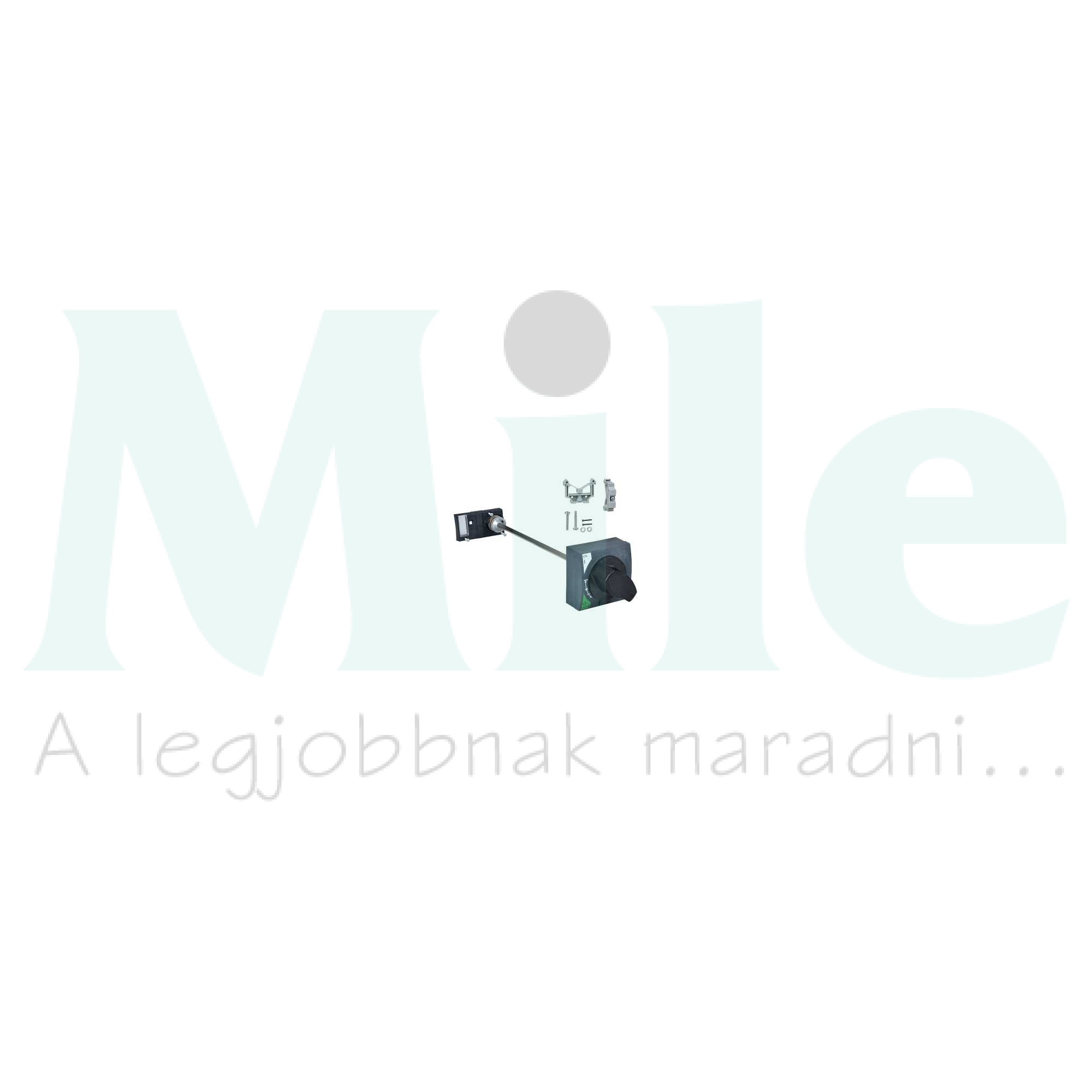 Ajtókuplung forgató hajtás NG125-höz tengellyel zárható ajtózárral NG125 Schneider