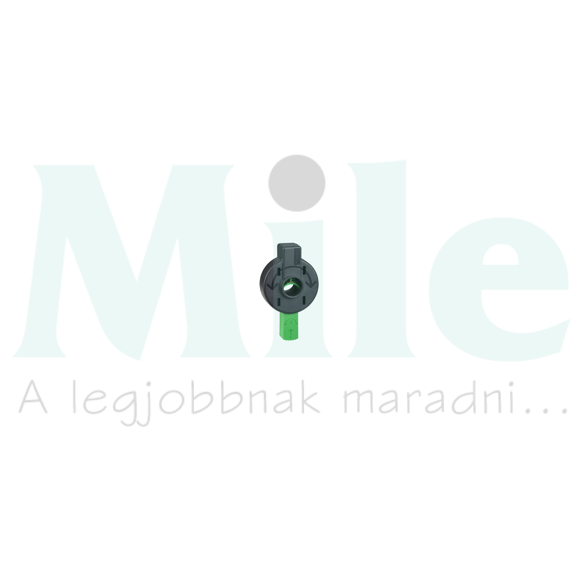 Ajtókuplung forgató hajtás NSXm/GV4-hez NSXm/GV4 Schneider