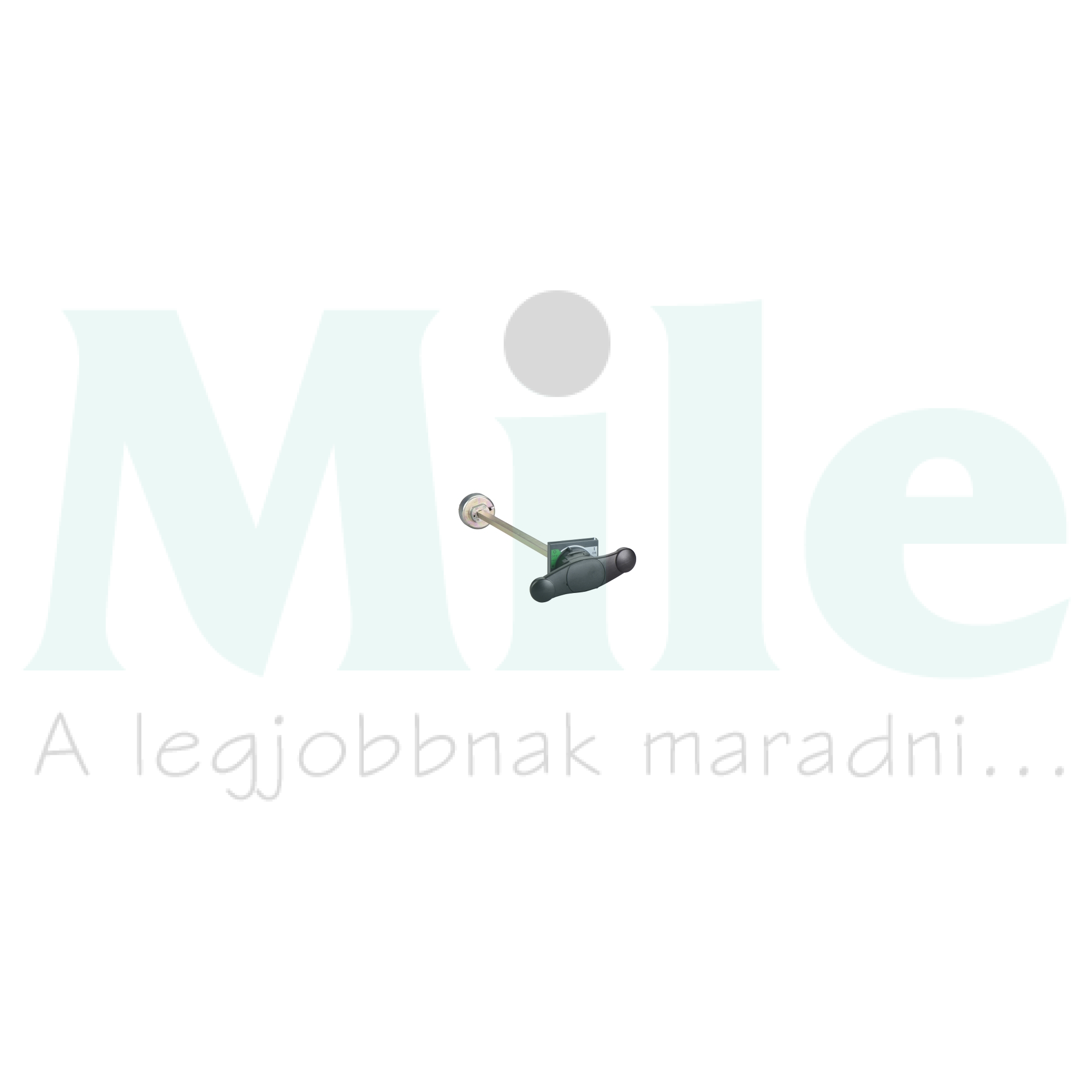 Ajtókuplung forgatókar INS320-630-hoz fekete tengellyel zárható Schneider