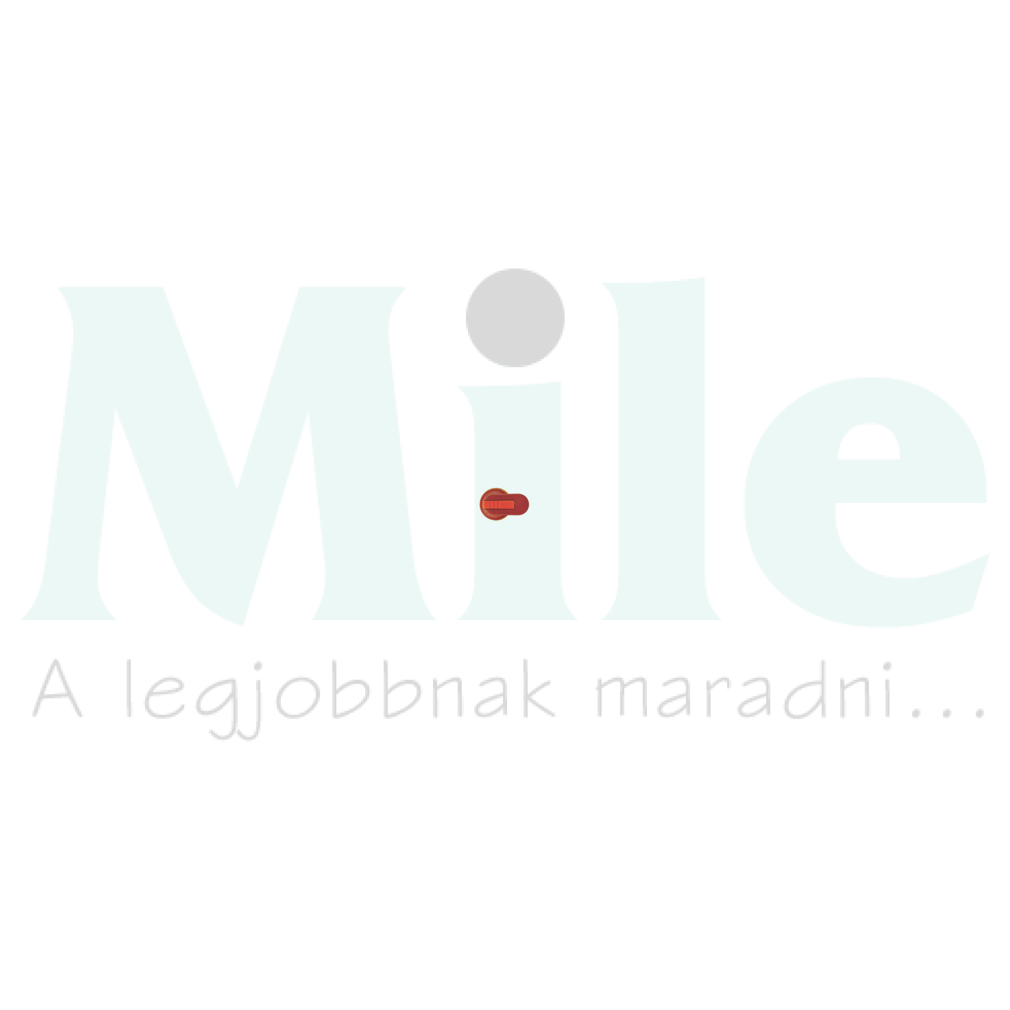 Ajtókuplung forgatókar M400-hoz piros/sárga zárható HR65 MERSEN