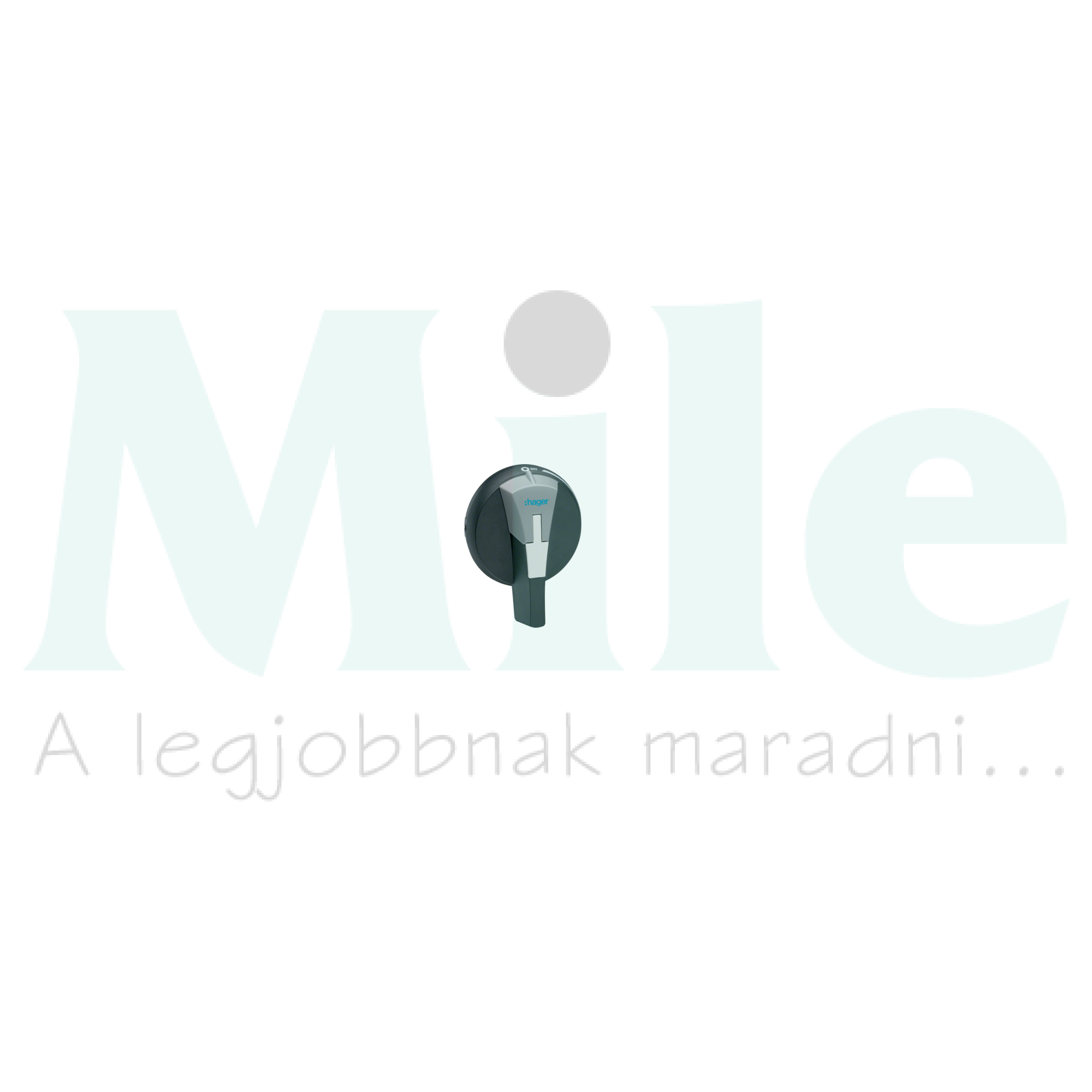 Ajtókuplungos forgató hajtás HAD 100-125A-hez tengely nélkül zárható ajtózárral HZC Hager