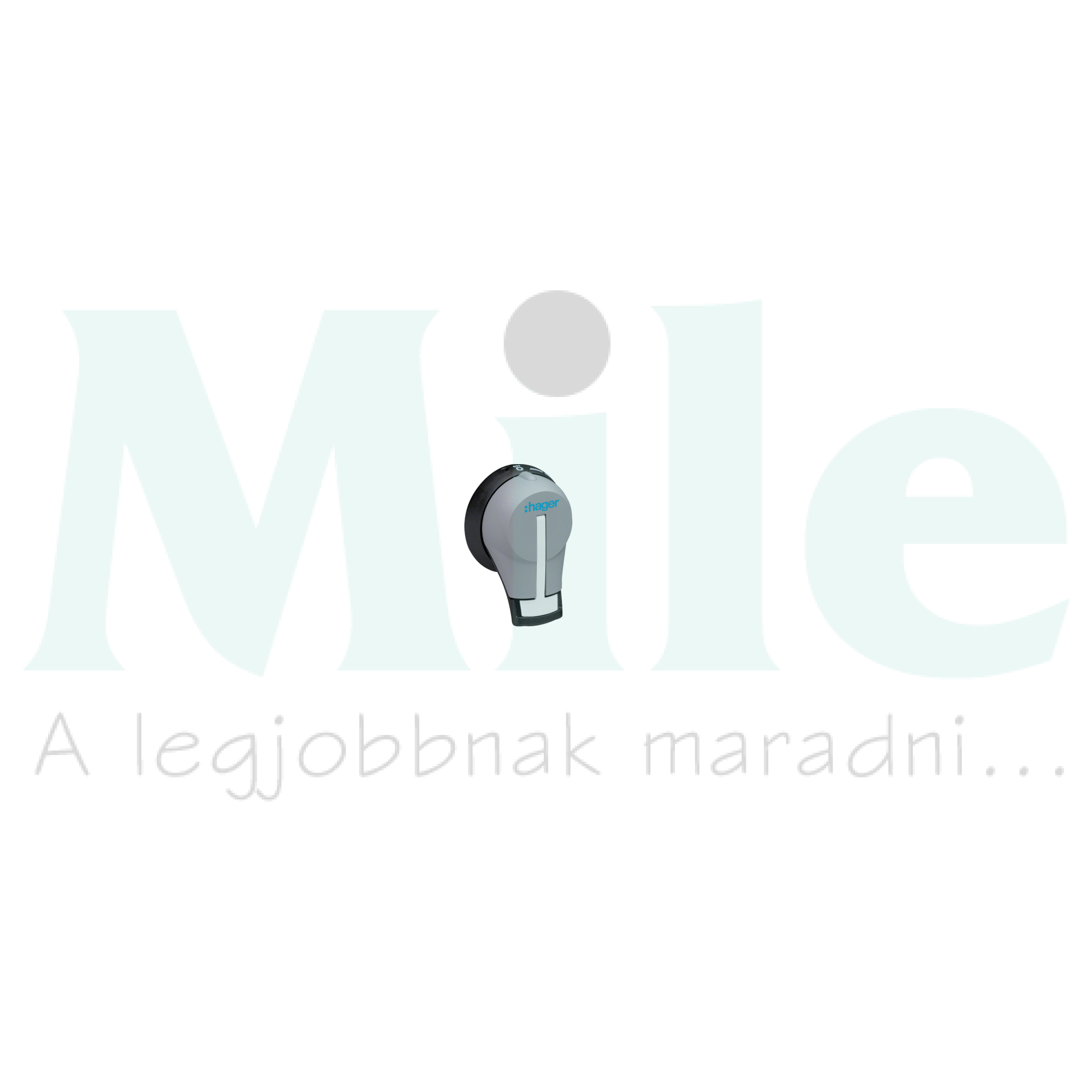 Ajtókuplungos forgató hajtás HFD306/HFD406-hoz tengely nélkül zárható ajtózárral HZC Hager