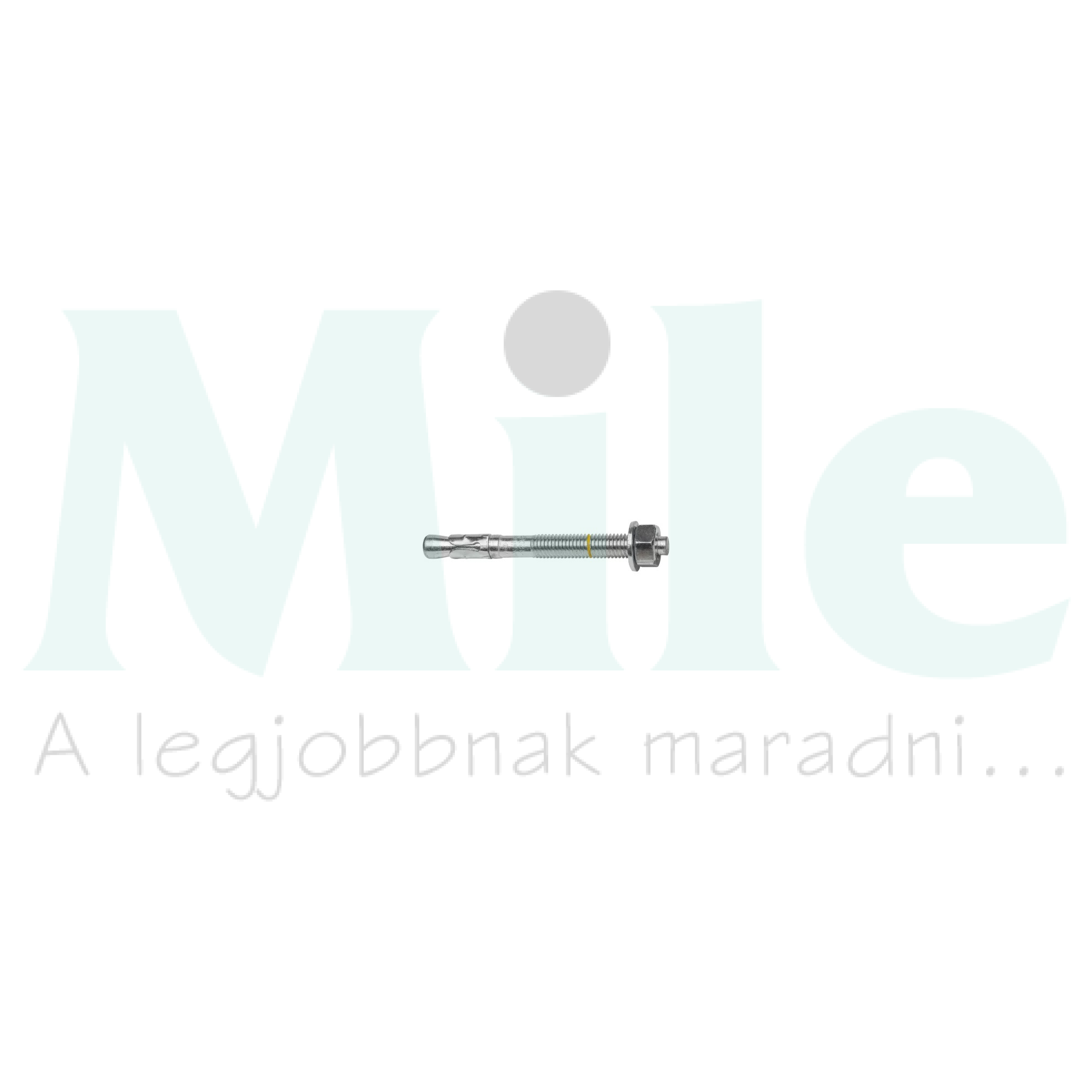 Alapcsavar M10x125mm tűzálló önfeszítő galván/elektrolit horganyzott acél BAP CELO