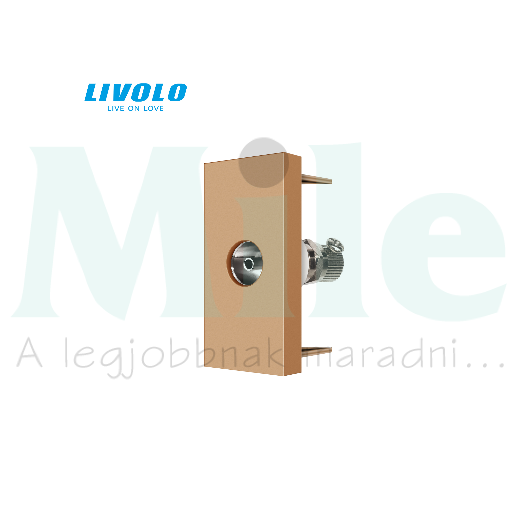 Antenna aljzat TV 1modul 1-kimenet süllyesztett arany C7 LIVOLO