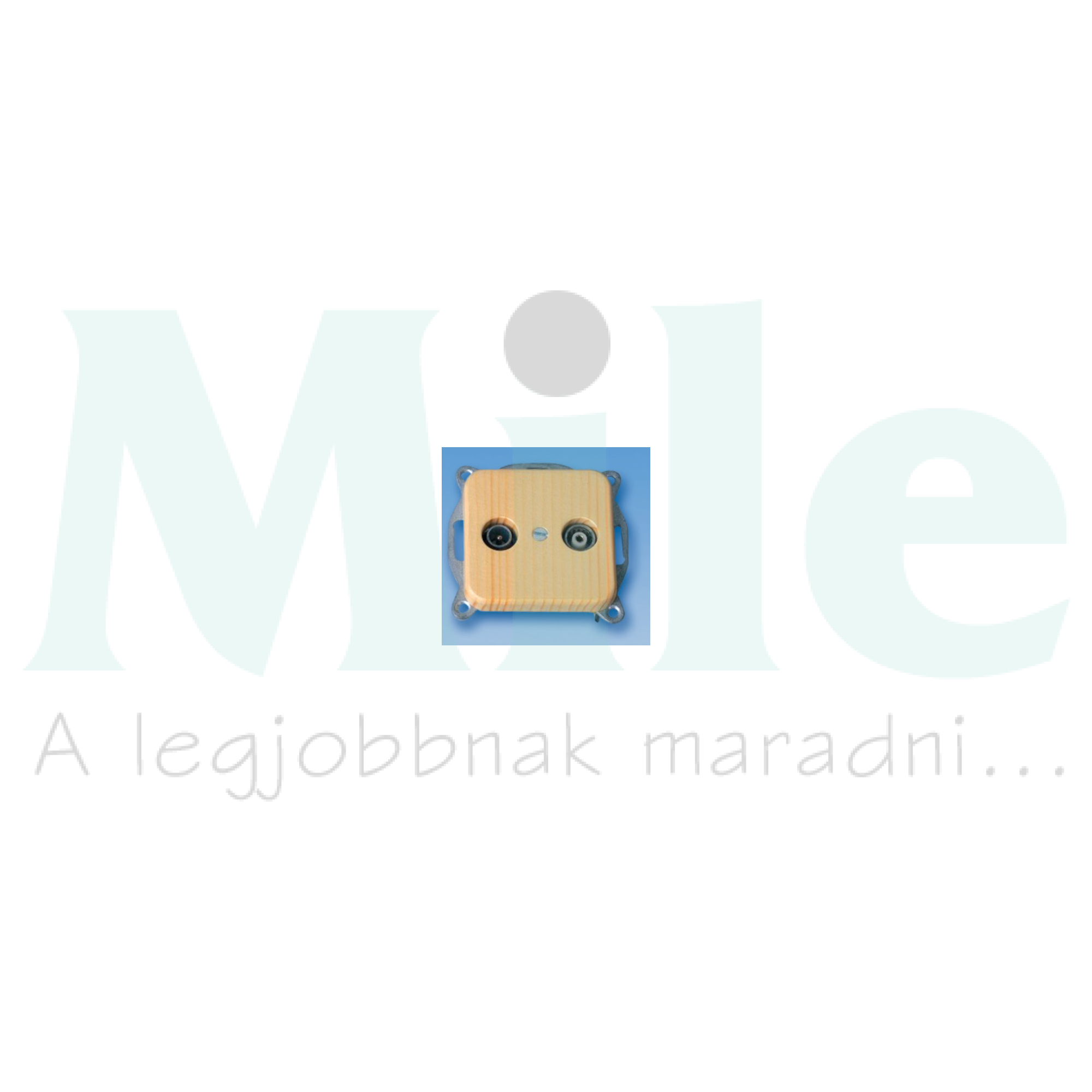 Antenna aljzat TV-R süllyesztett fenyő 2-kimenet Kopp