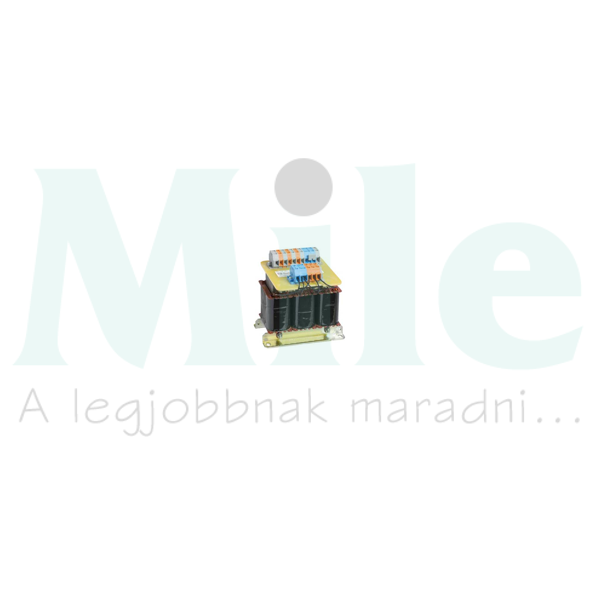 Áramváltó csillagponti visszáramvédelemre (SGR) NS/NT/NW-hez NS1600b...3200 Schneider