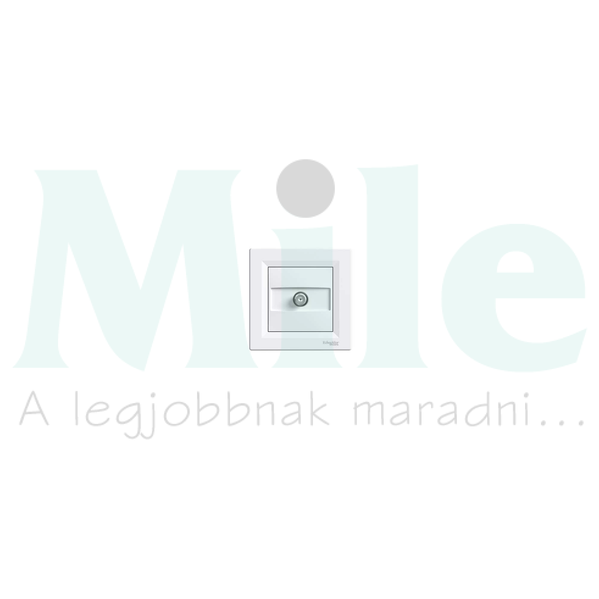 Asfora antenna aljzat SAT süllyesztett komplett fehér 1-kimenet végzáró Schneider