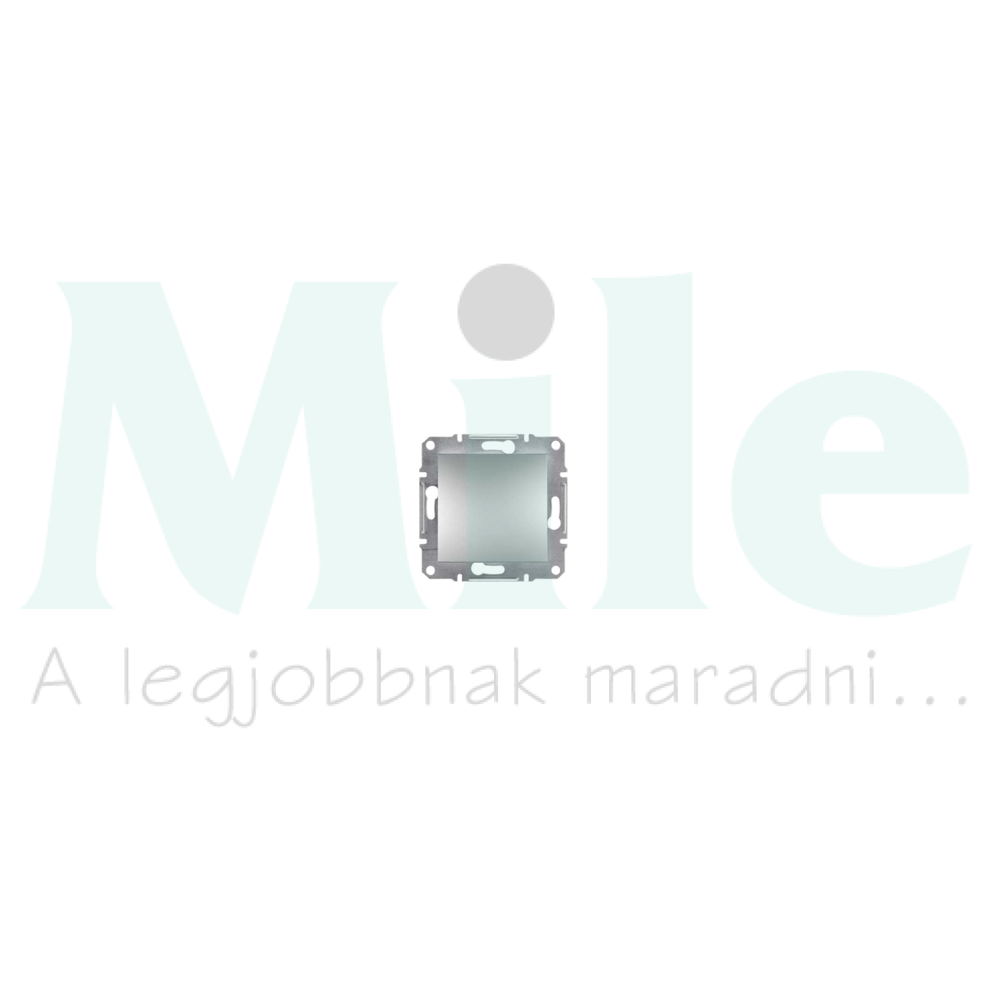 Asfora vakfedél vakfedél alumínium üres-jel IP20 műanyag fényes Schneider