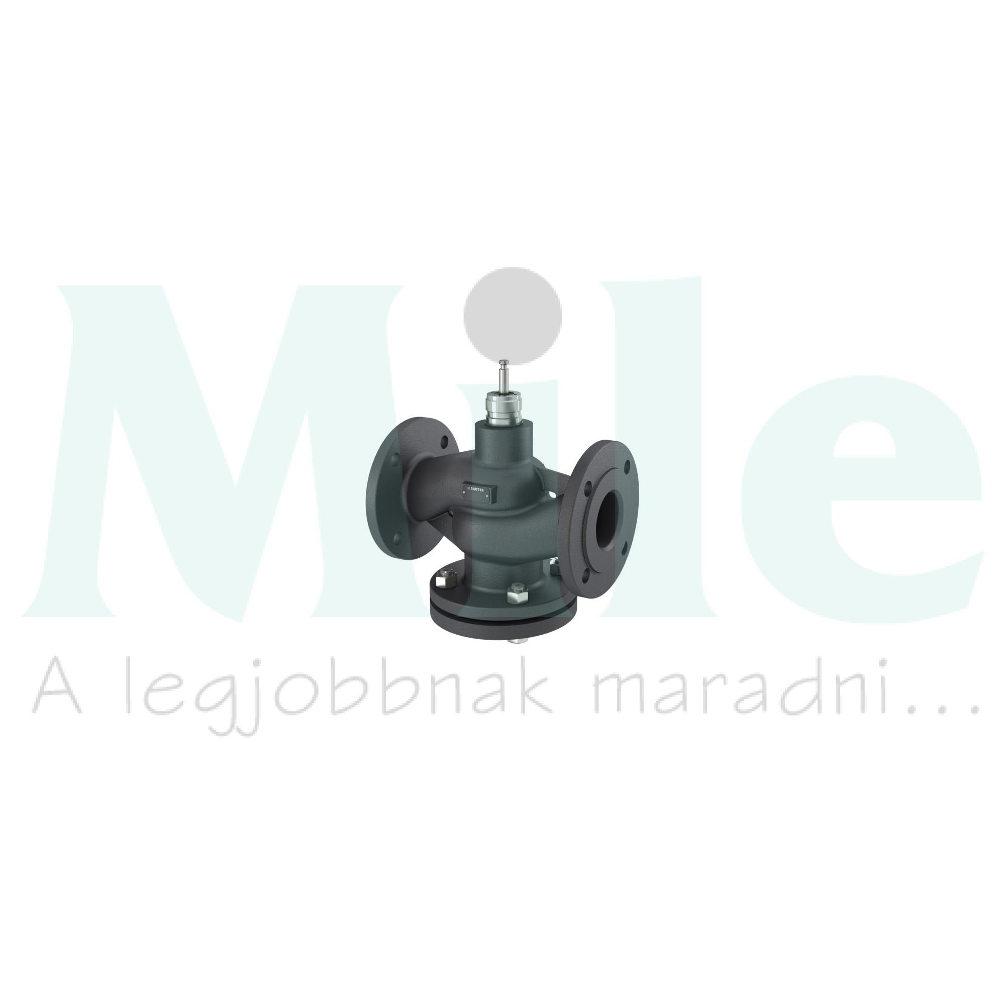 Kétjáratú szabályzószelep DN80 PN16 bar 100m3/h-Kvs 20mm -10°C.. 150°C VQE SAUTER