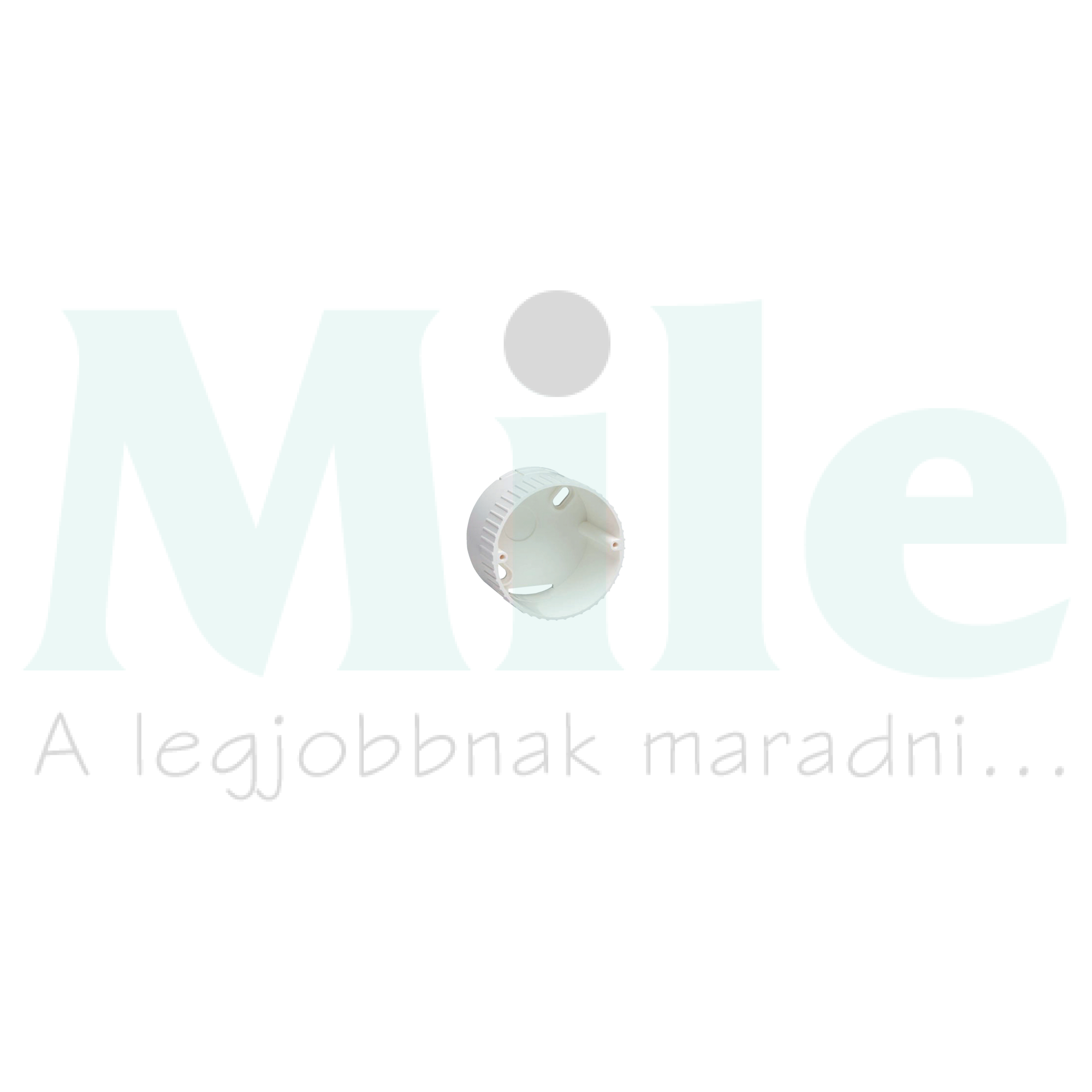 Beépítődoboz EE810/1/2 jelenlétérzékelőhöz fehér EE Hager