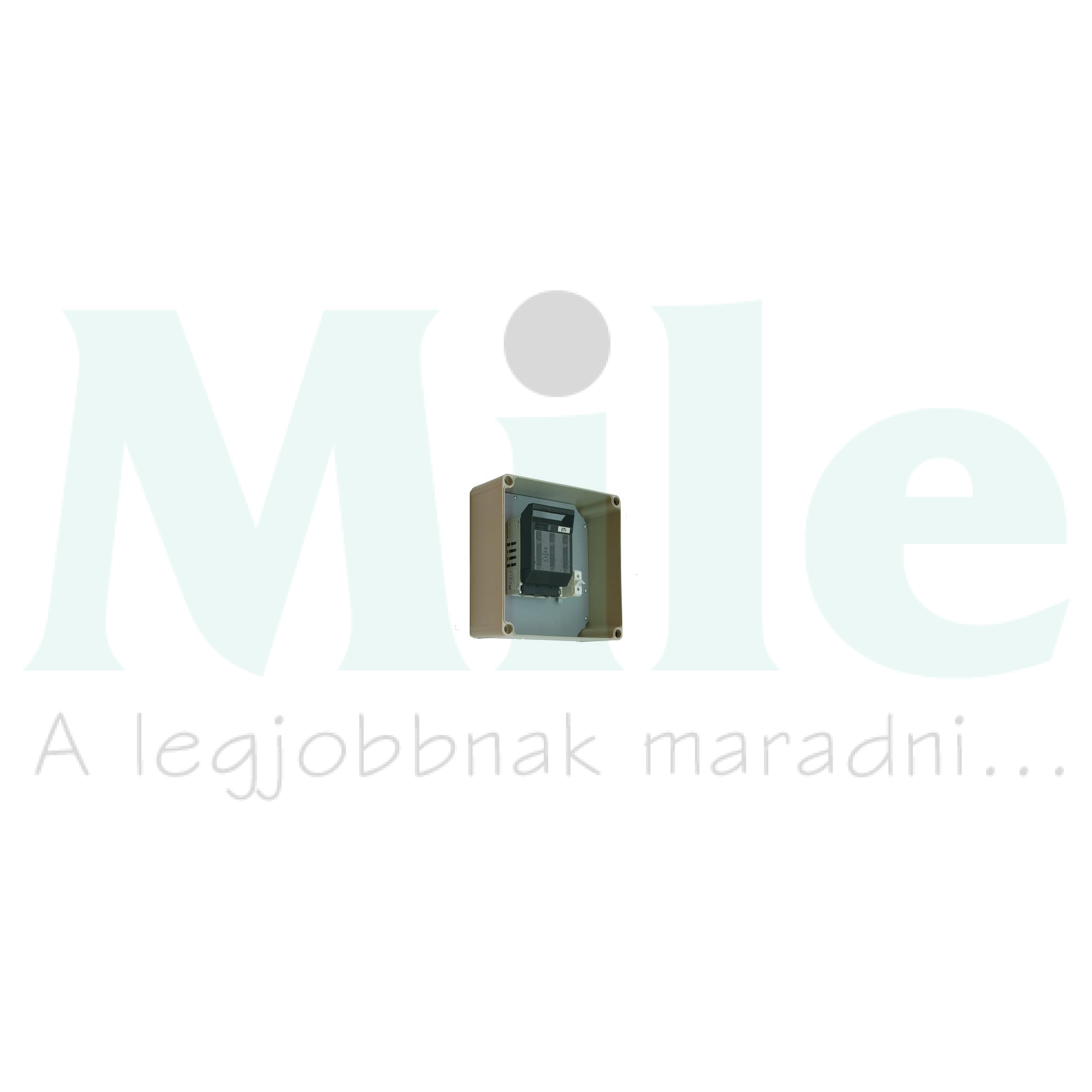 Biztosítós szakaszoló szekrény PEN-kapoccsal 4P 160A NH00 300mm x PVT 3030 SB NH 00 Csatári Plast