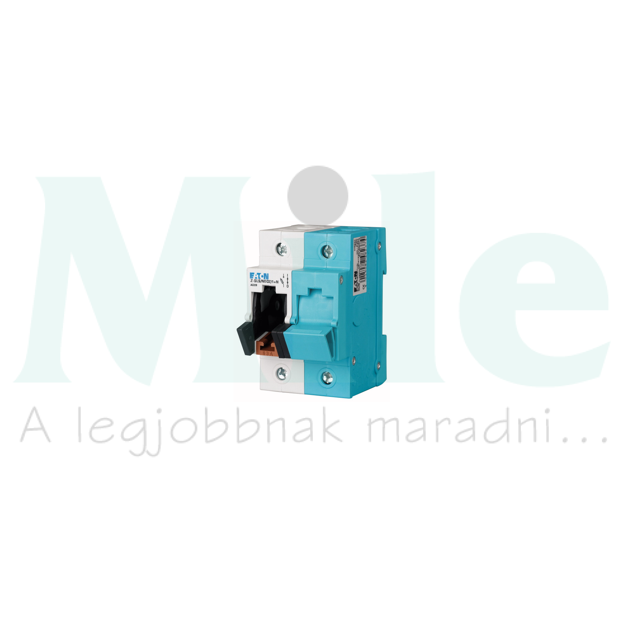 Biztosítós szakaszolókapcsoló 2-pólus D02 63A 230V Z-SLS/NEOZ/1+N EATON