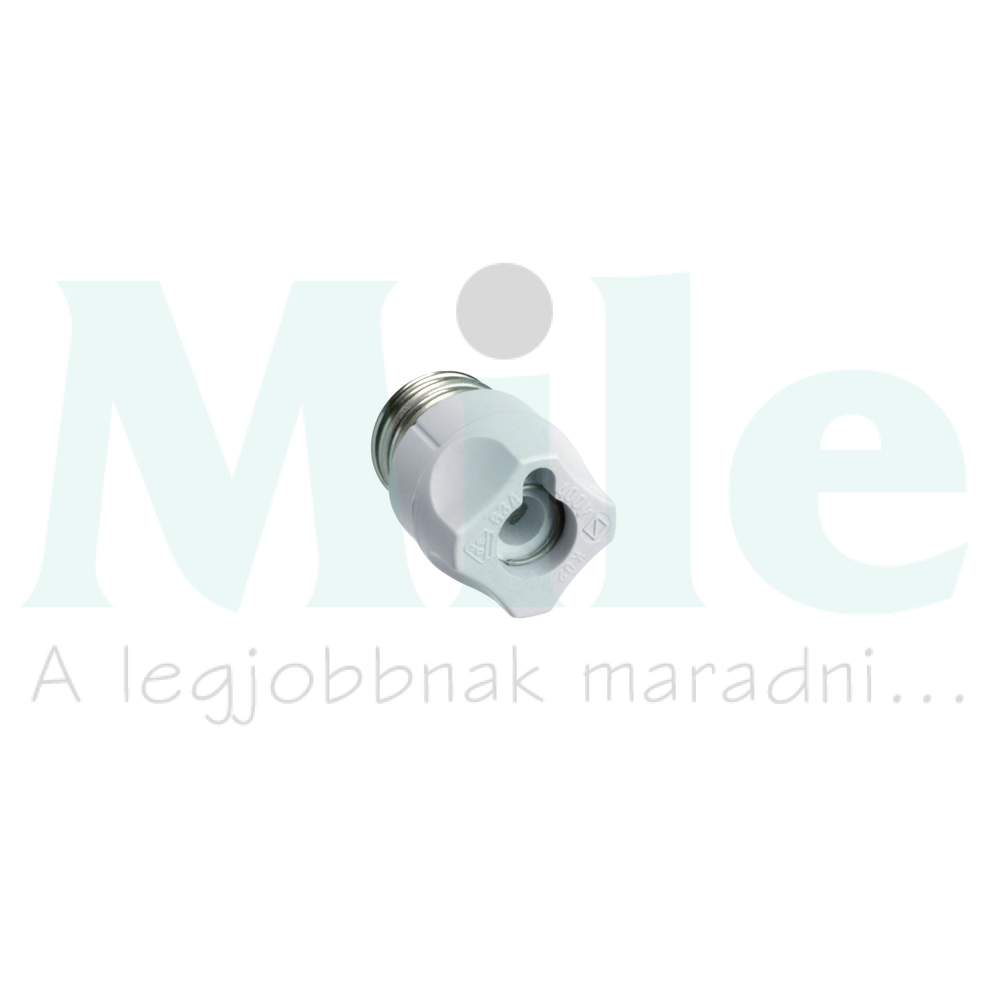 Biztosítósapka csavaros E27 25A vizsgáló nyílással DII műanyag LE Hager