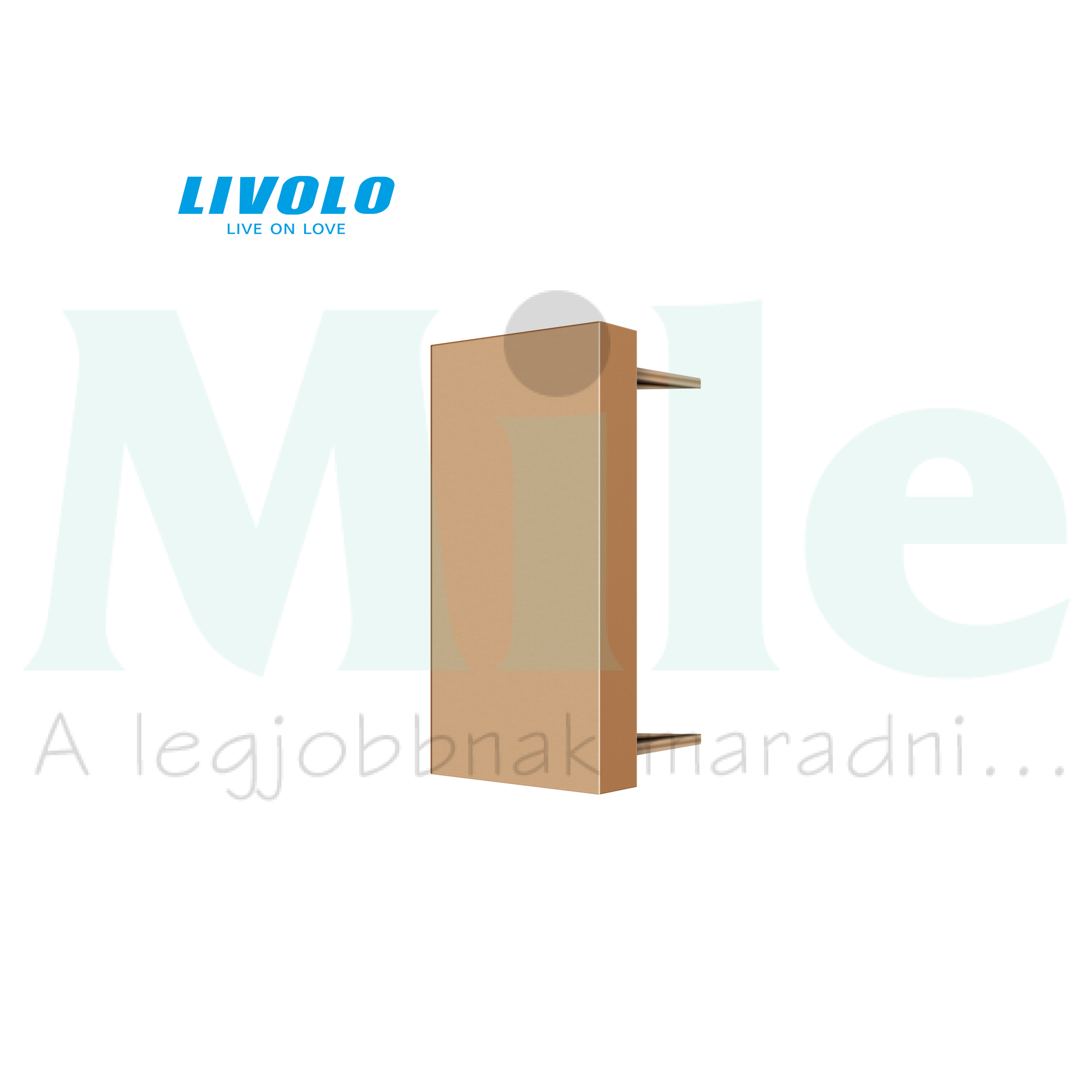 C7 vakfedél 1/2M vakfedél műanyag arany fényes kapocs üres-jel IP21 C7BLAG LIVOLO