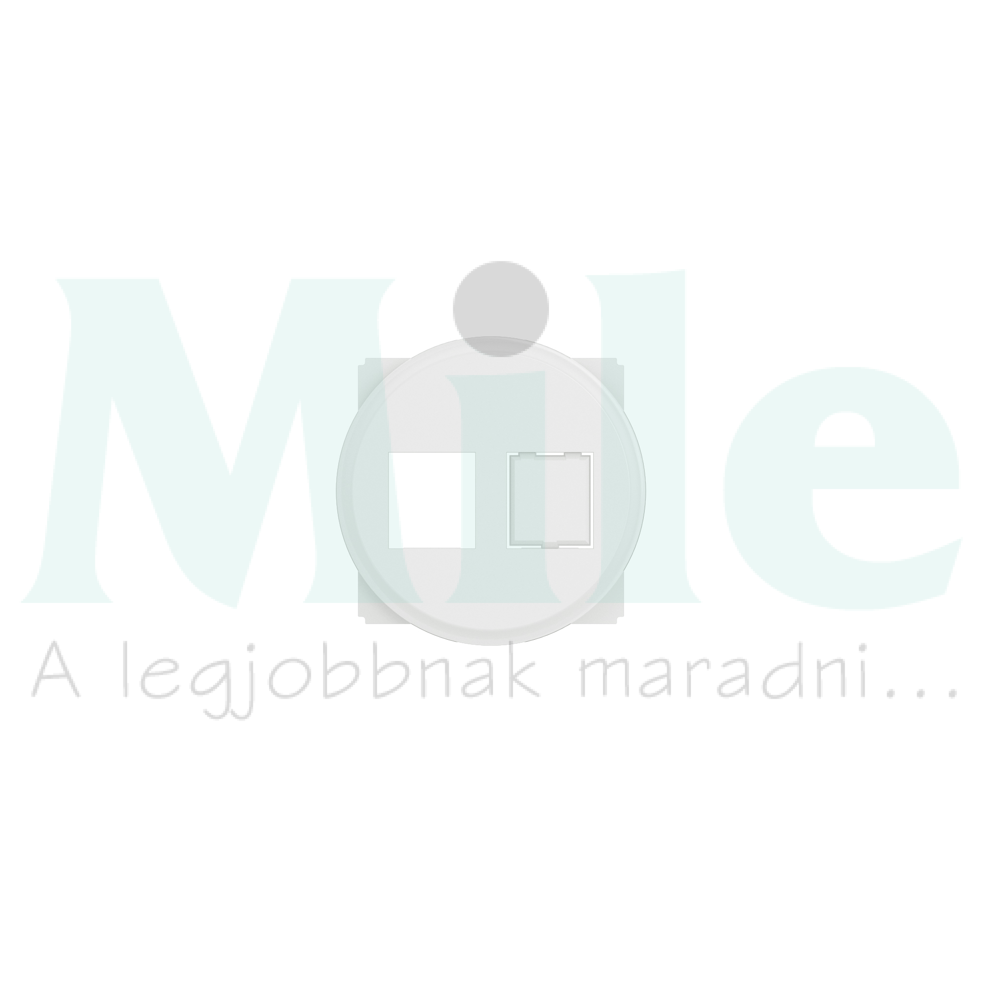 Céliane 1x vagy 2xRJ45 Keystone adapter burkolattal, fehér