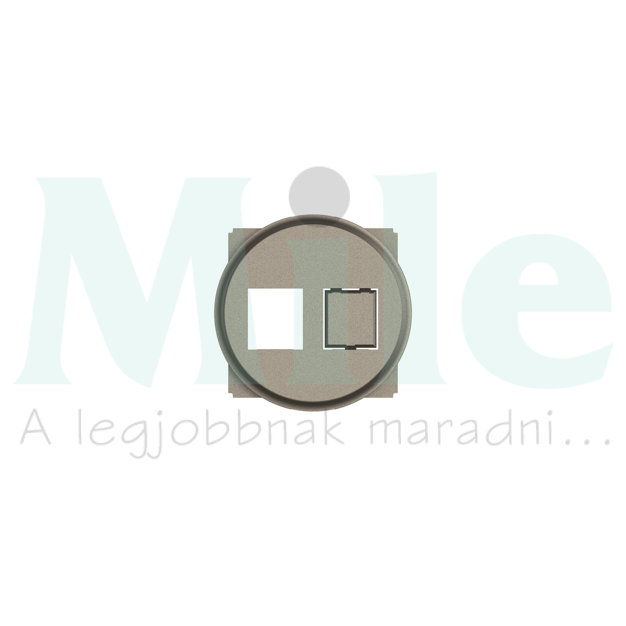 Céliane 1x vagy 2xRJ45 Keystone adapter burkolattal, titánium