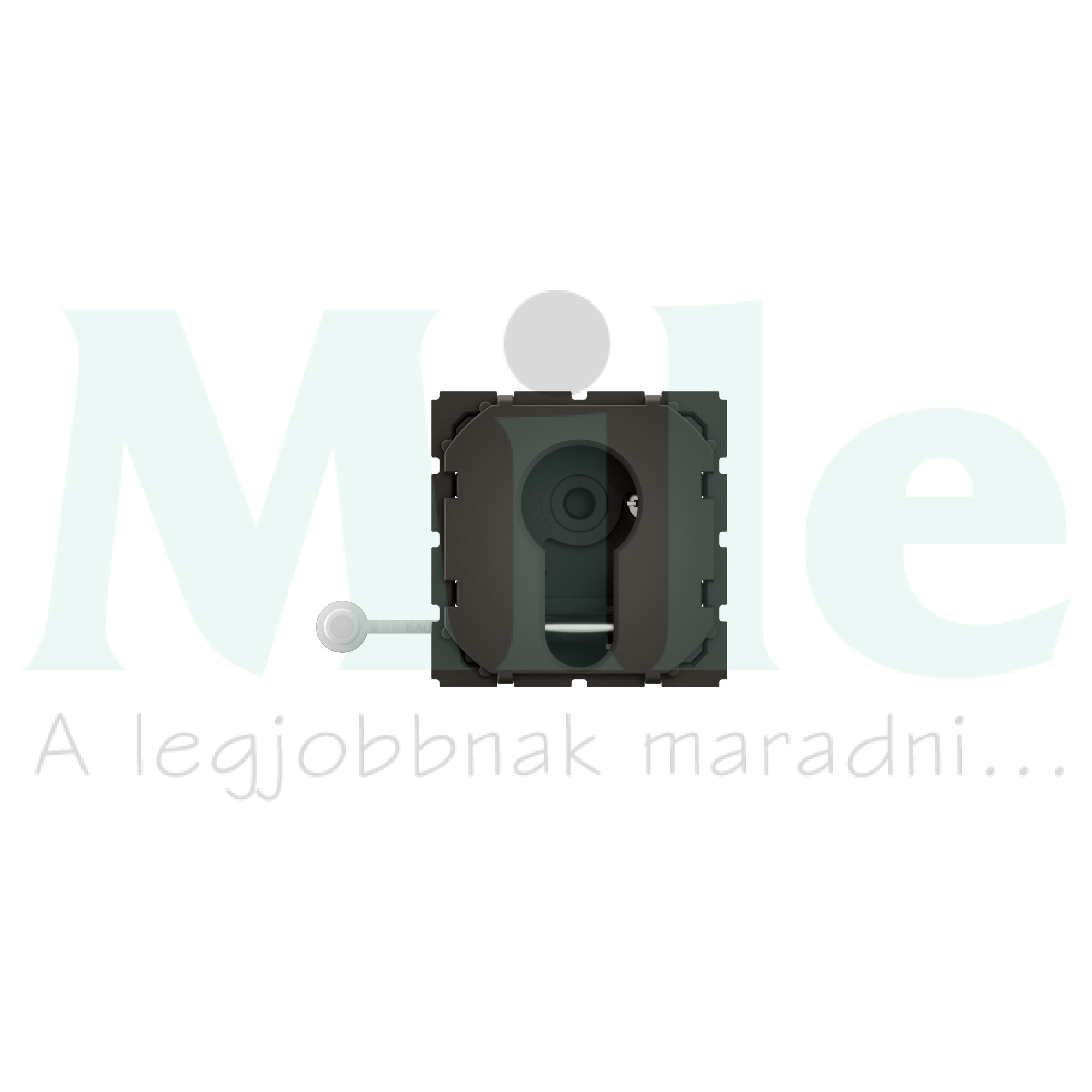 Céliane 2 állású kulcsos kapcsoló (0-1), mechanizmus