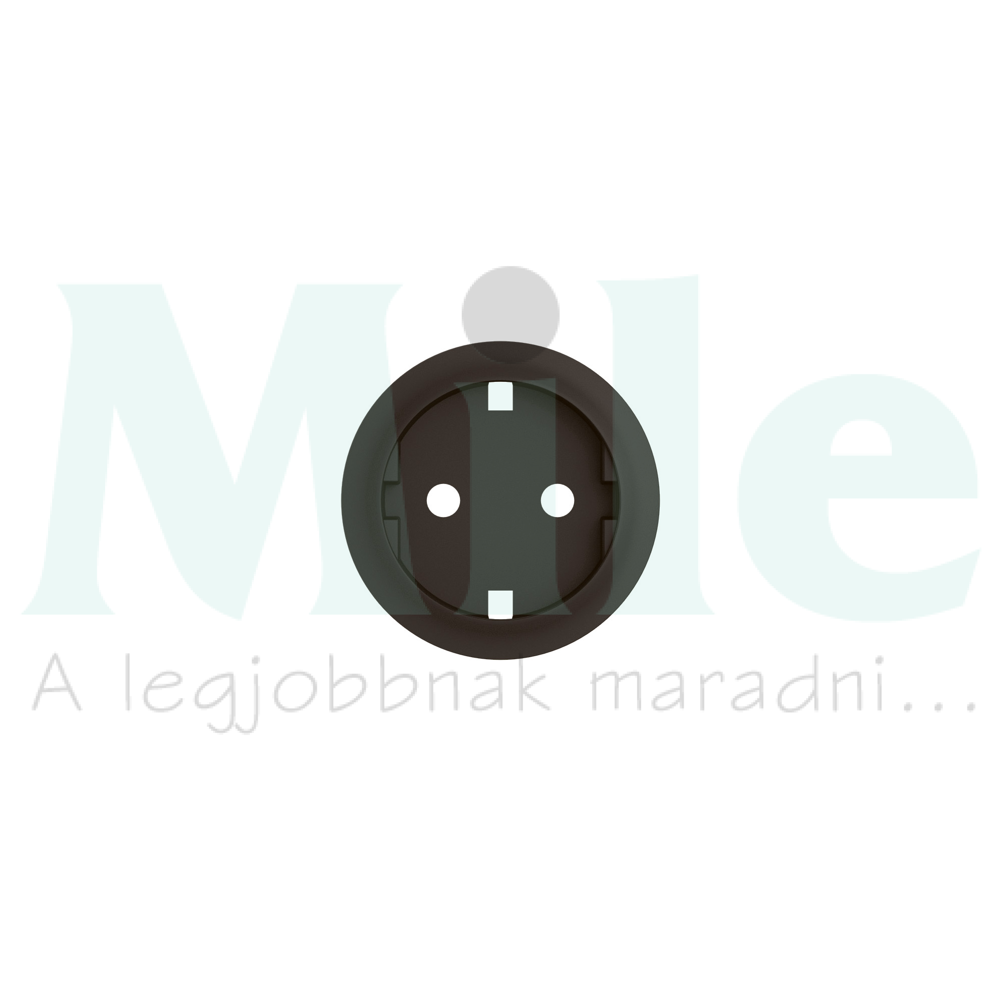 Céliane 2P+F (162) csatlakozóaljzat burkolat, fekete