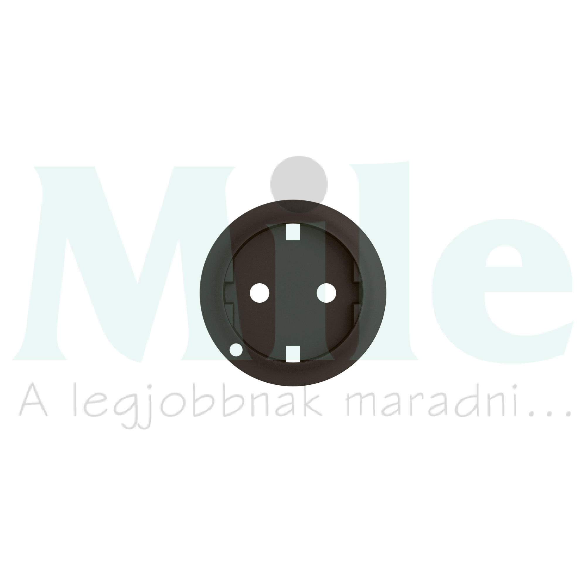 Céliane 2P+F (162) rugós csatlakozóaljzat burkolat, fényjelzős, fekete